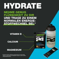 Herbalife H24 Hydrate Orange 20 x 5.3g